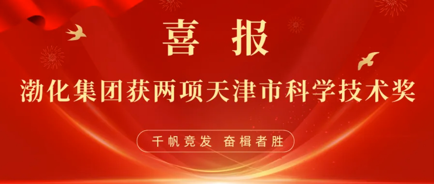 喜报丨渤化集团获两项天津市科学技术奖